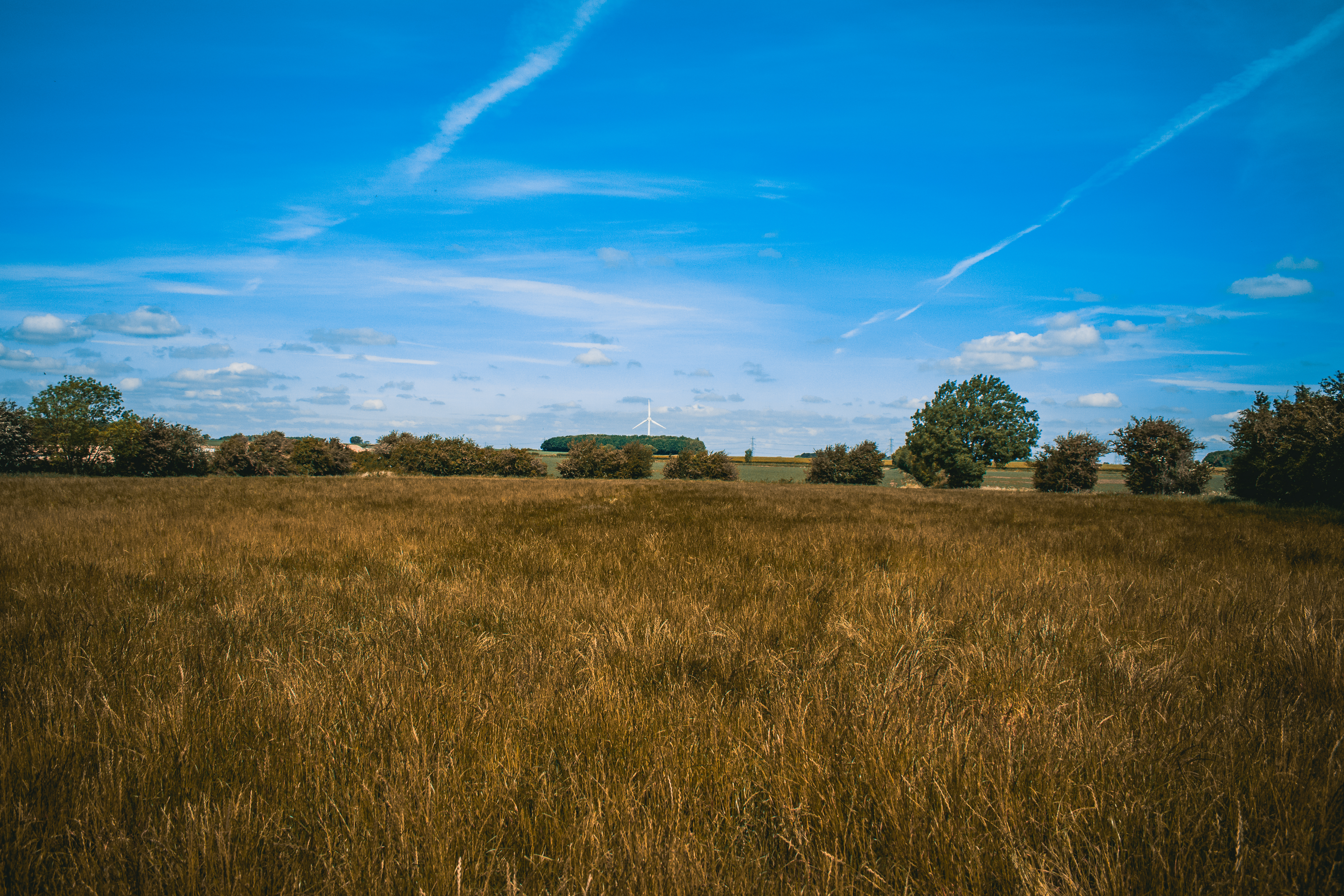 single wind turbine scene