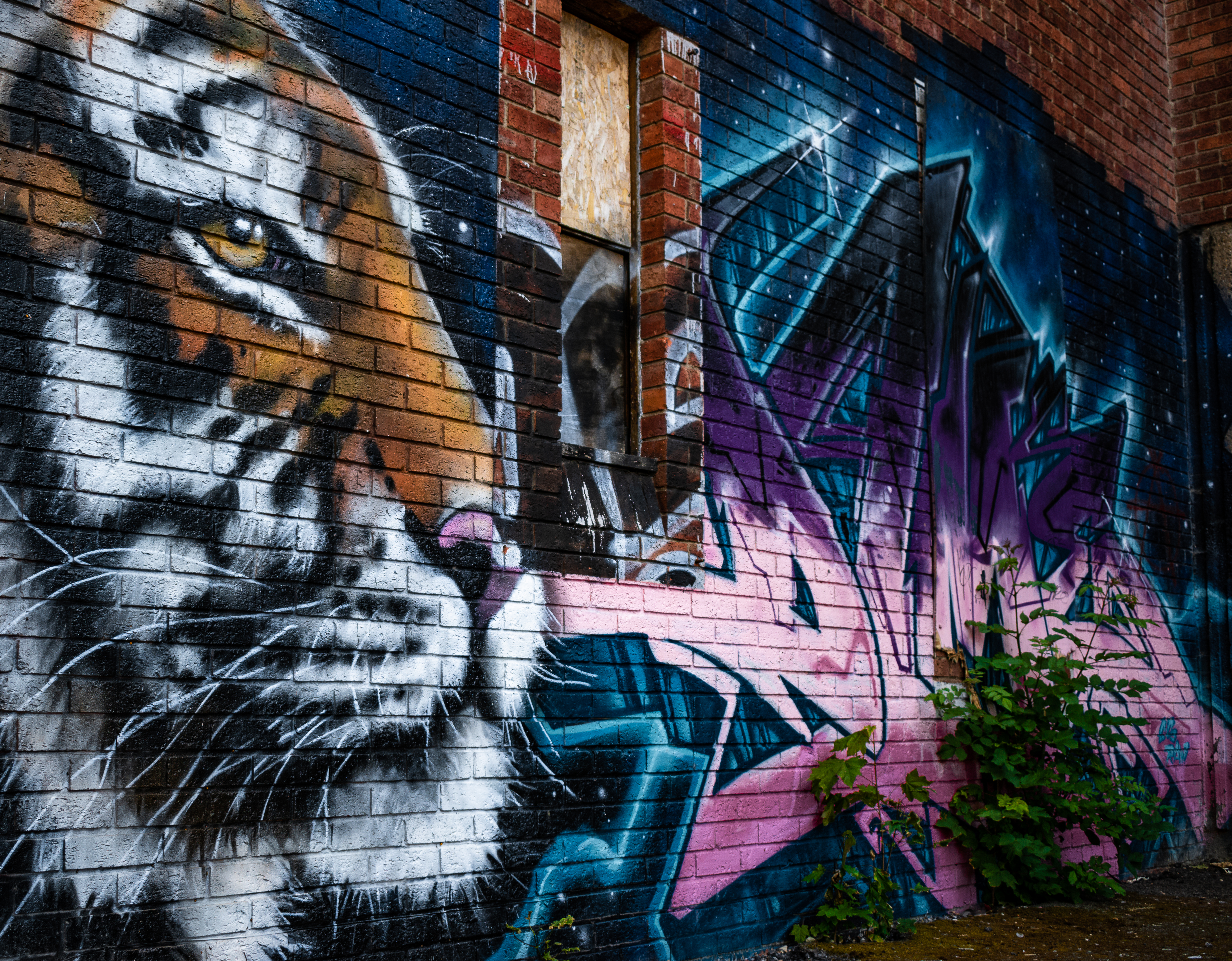 Tiger graffiti
